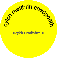 cylch meithrin coedpoeth