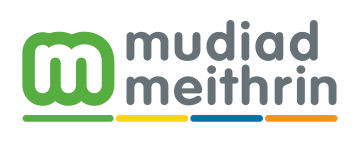 mudiad meithrin